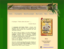 Tablet Screenshot of castagneto-montepincio.com